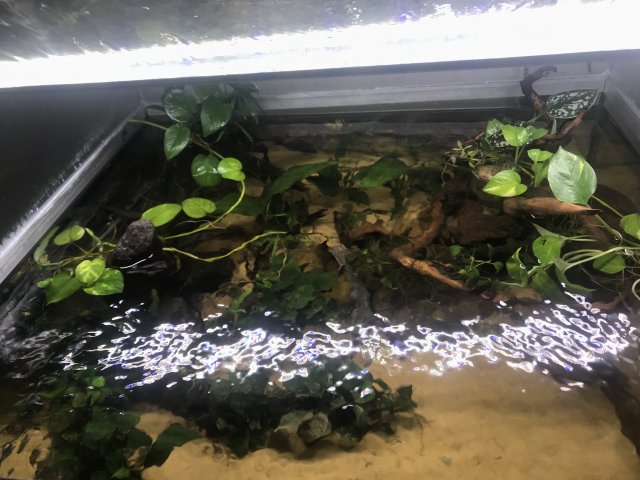 IMG_1174.jpg IMG_1174.jpg