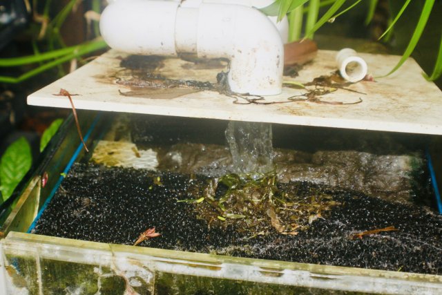 78A50842-C3E9-4348-94A9-466B82CC860D_1_201_a.jpeg 78A50842-C3E9-4348-94A9-466B82CC860D_1_201_a.jpeg