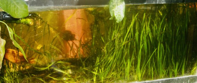 FAAB52EA-3199-4621-A73F-2A4AE7756279_1_201_a.jpeg FAAB52EA-3199-4621-A73F-2A4AE7756279_1_201_a.jpeg