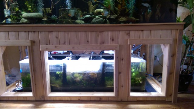 WP_20150718_021.jpg WP_20150718_021.jpg