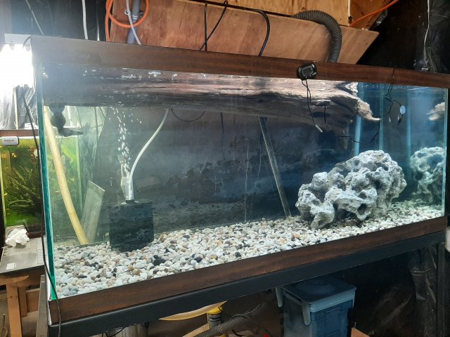20220127_133513.jpg