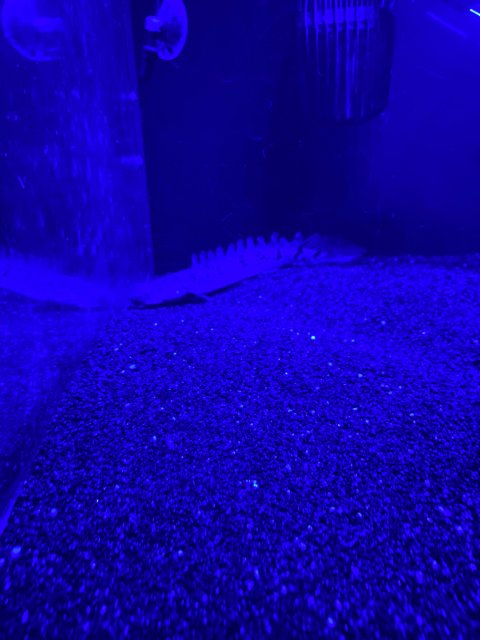 2D0D5393-BD27-46DC-AB0B-82F0689D21F3.jpeg