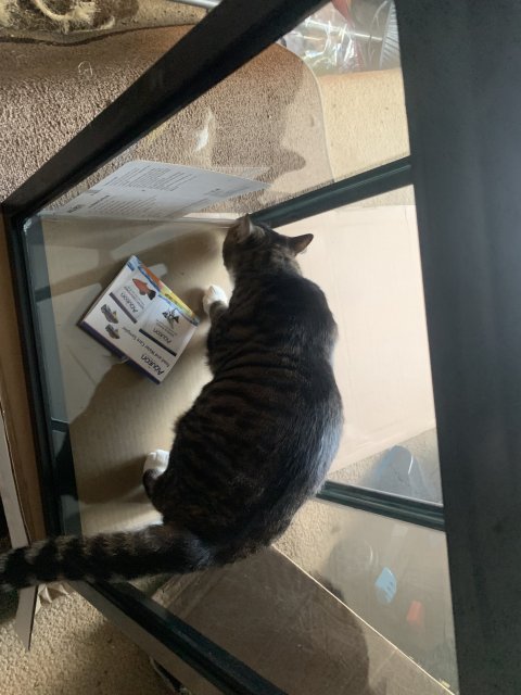 B4800842-5918-4D84-94FC-0A81375A53E8.jpeg B4800842-5918-4D84-94FC-0A81375A53E8.jpeg