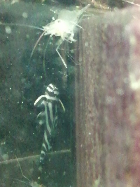 IMG_20220201_204346.jpg