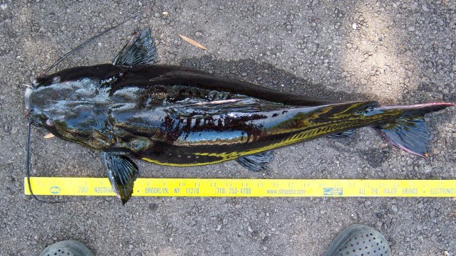 100_9959.JPG 100_9959.JPG