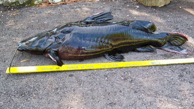 100_9960.JPG 100_9960.JPG