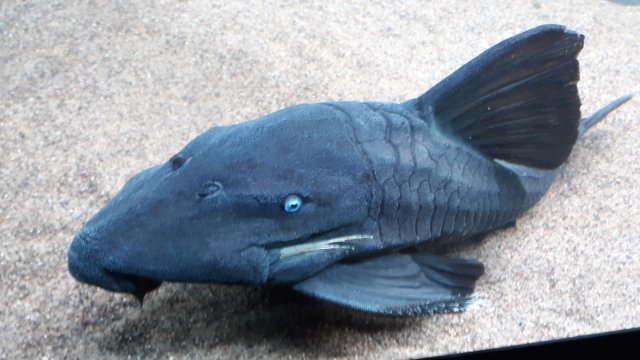 20220201_225052.jpg