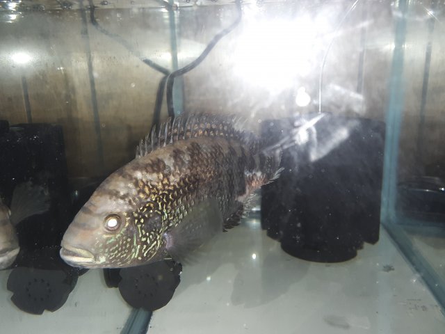 20220207_144023.jpg