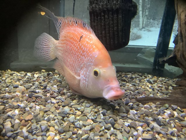 C821785E-A61B-4436-A696-150C38B7843B.jpeg C821785E-A61B-4436-A696-150C38B7843B.jpeg