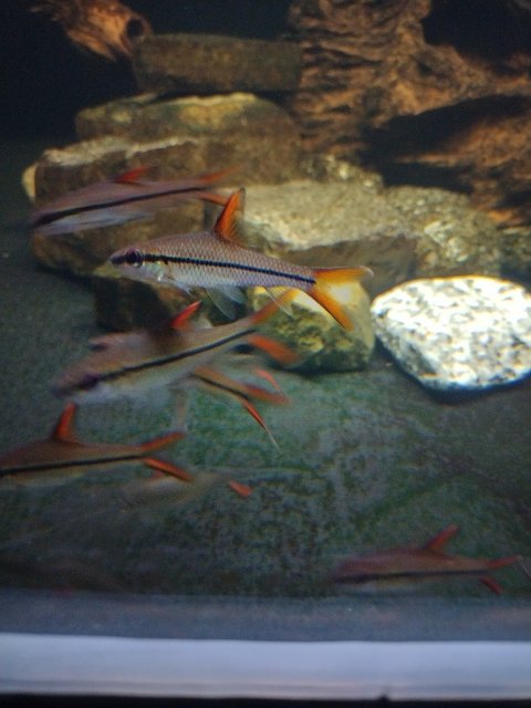 IMG_20220208_221327_HDR.jpg
