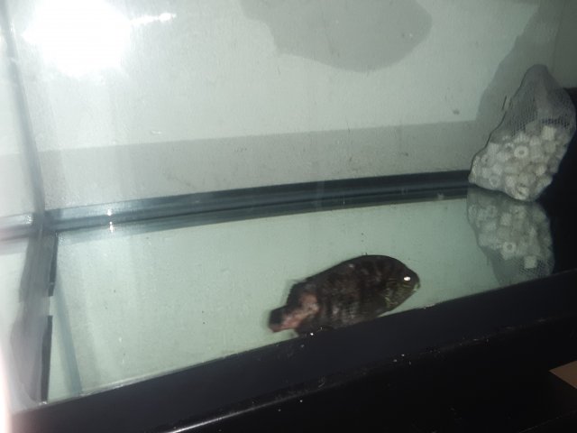 20220209_201547.jpg
