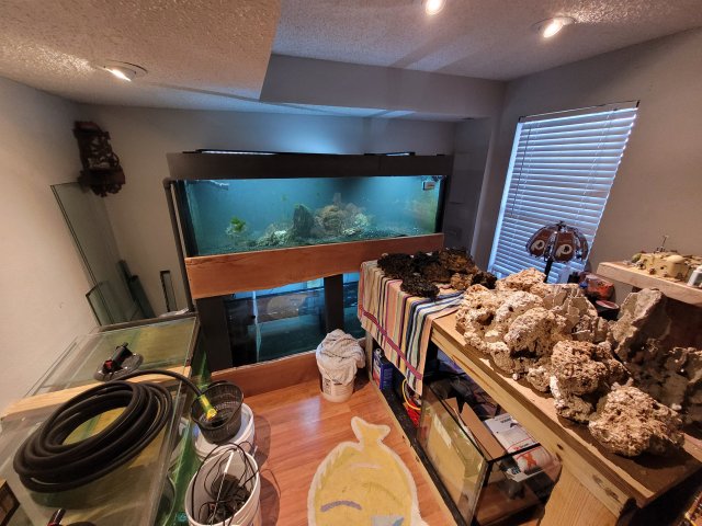 20220129_112439.jpg