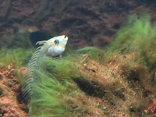 20220117_193824.jpg