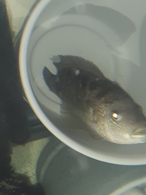 20220212_080403.jpg