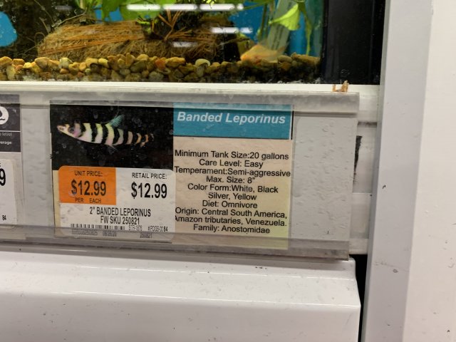 D49088E9-606C-4DEE-85D3-11480EEA02E6.jpeg