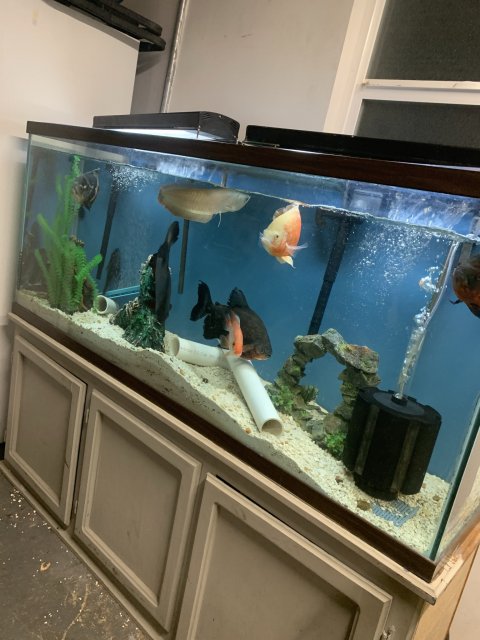 0E07957A-111C-491F-A3D6-E4EC52DAC589.jpeg 0E07957A-111C-491F-A3D6-E4EC52DAC589.jpeg