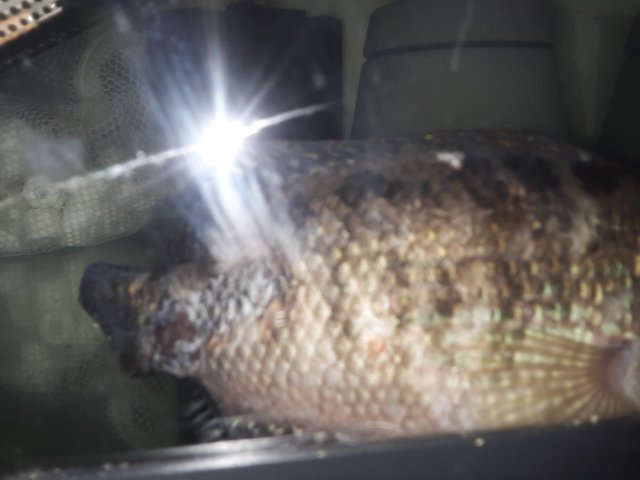 20220213_081910.jpg