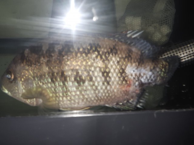 20220213_081835.jpg