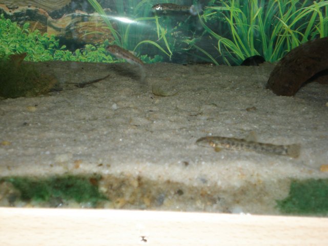 P9040042.JPG