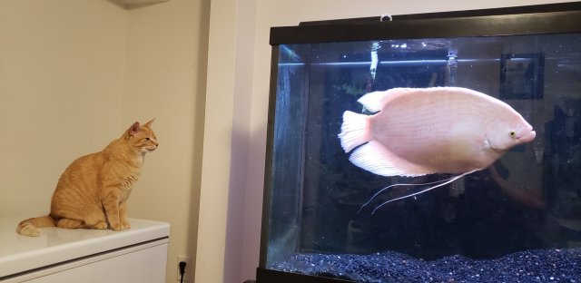 20210911_210043_resized.jpg 20210911_210043_resized.jpg