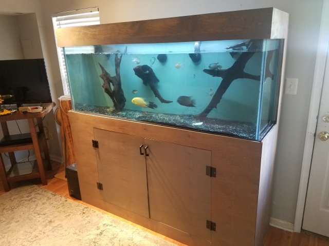 20190502_162420.jpg 20190502_162420.jpg