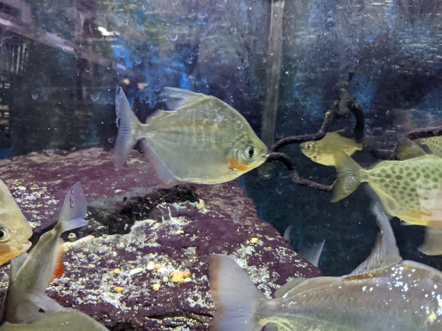 PXL_20220218_011319000.jpg