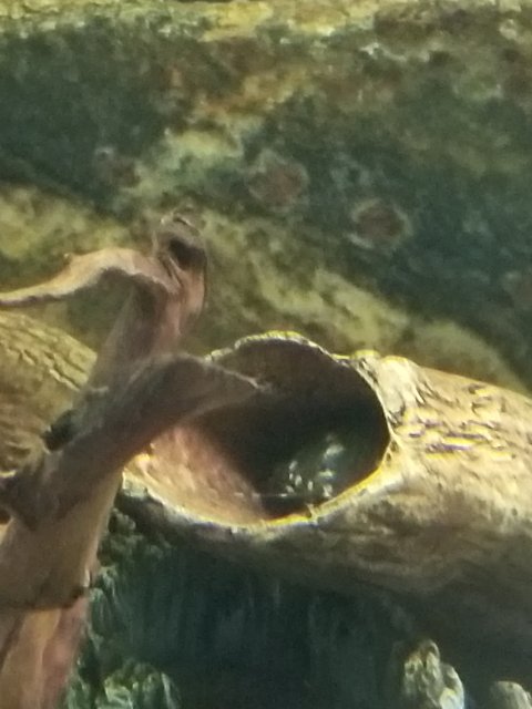 20201115_143602.jpg