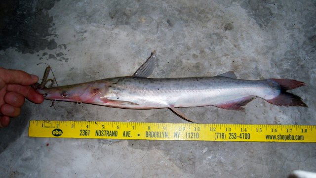 100_0059.JPG