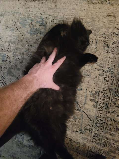 20220221_211015.jpg