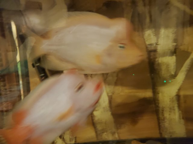 20220221_204124.jpg
