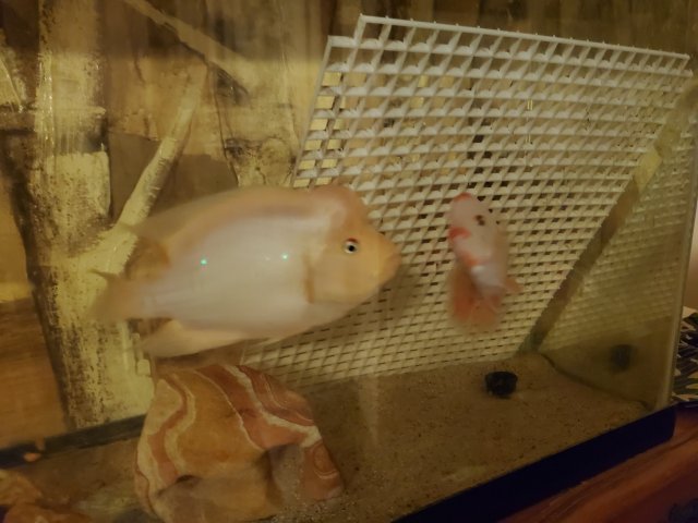 20220221_204059.jpg