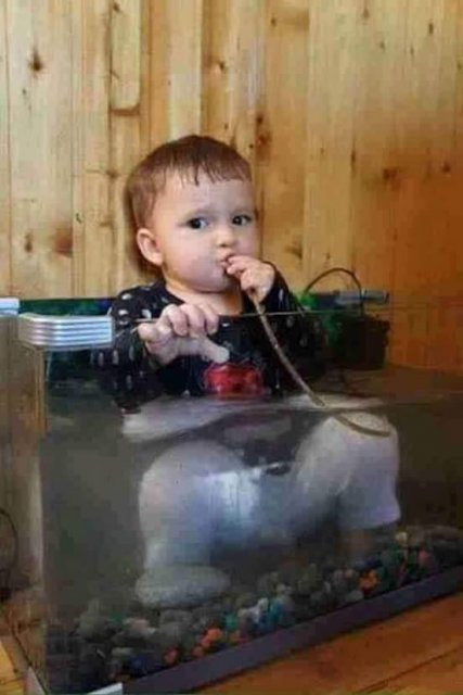 kid-tank.jpg