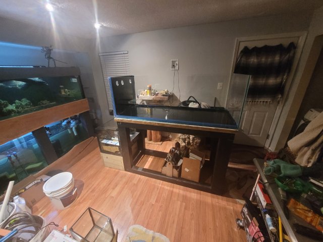 20220218_200124.jpg