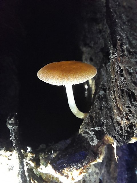 20220226_163615.jpg