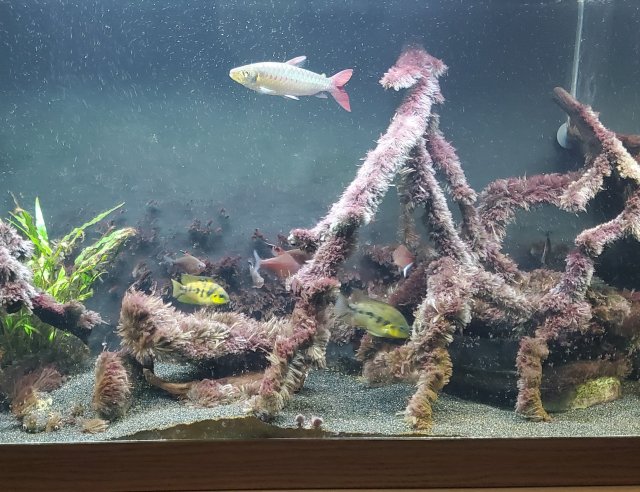 20210321_194734.jpg 20210321_194734.jpg