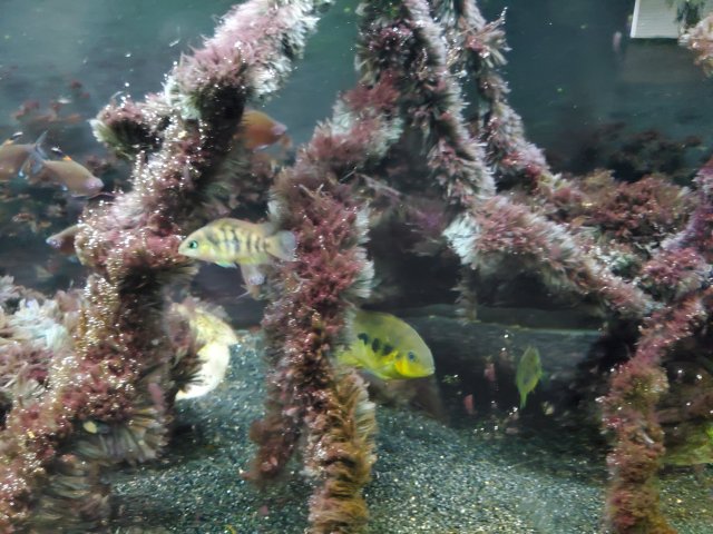 20210323_165839.jpg 20210323_165839.jpg