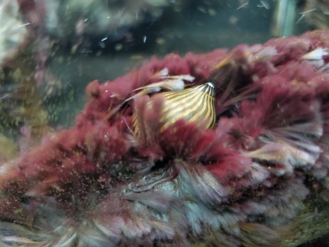 20210321_224707.jpg 20210321_224707.jpg