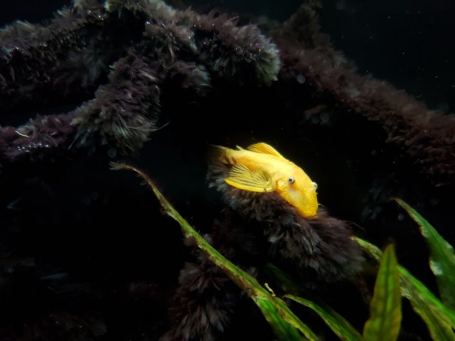 20210321_224308.jpg 20210321_224308.jpg