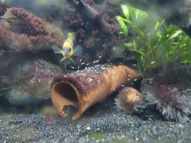 20210110_170909.jpg 20210110_170909.jpg