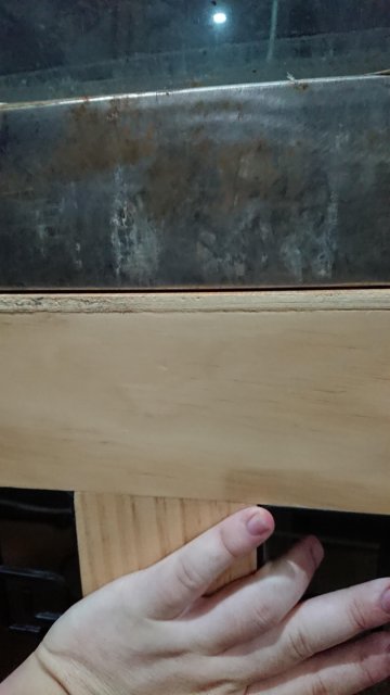 OfOmENJ.jpg OfOmENJ.jpg