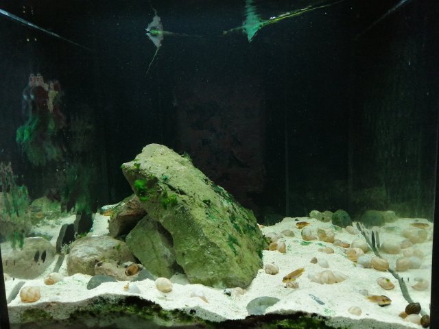 IMG_20220306_192613.jpg
