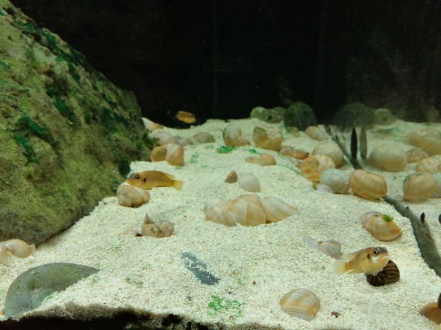 IMG_20220306_192619.jpg