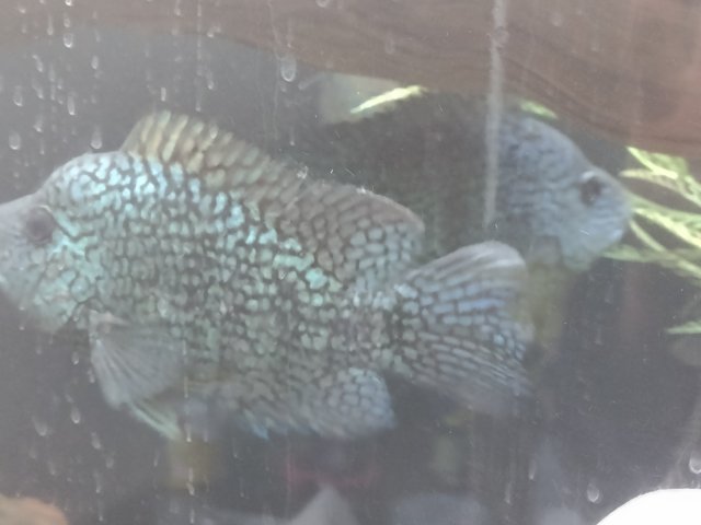IMG_20220126_232850664.jpg