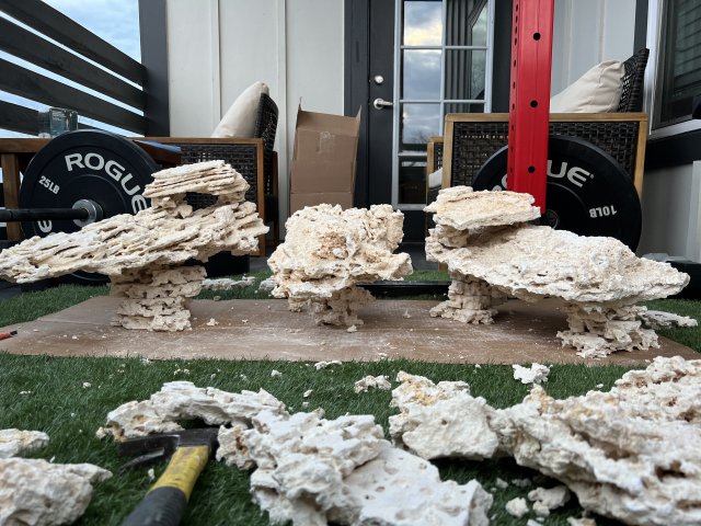 1F8388AF-BA62-4340-8A75-57B85F47B496.jpeg 1F8388AF-BA62-4340-8A75-57B85F47B496.jpeg