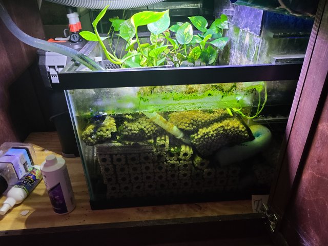 20220219_201059.jpg