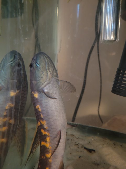 20220311_173101.jpg