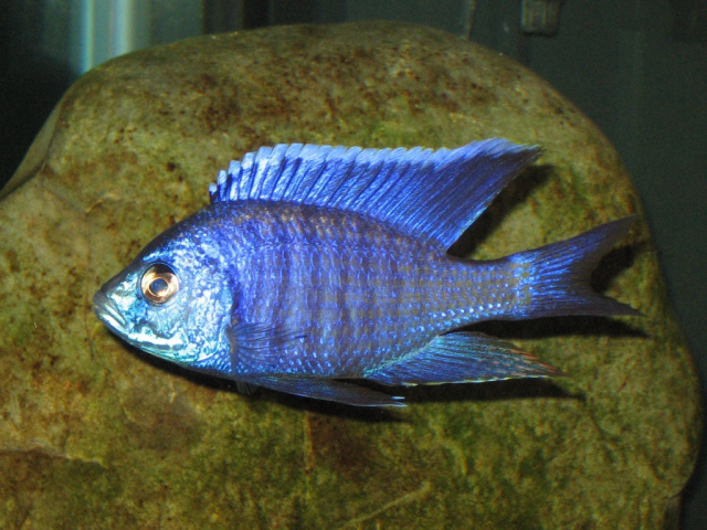 1647189911700.png 1647189911700.png