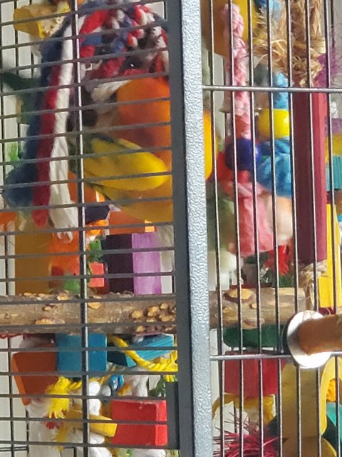 20220305_093939.jpg