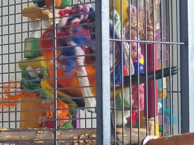 20220305_094002.jpg