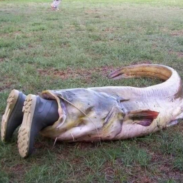 fishing-21.jpg
